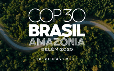 COP30 Belém 2025: Reorienting Global Climate Governance Amidst the Multilateralism Crisis and Country Capacity Gaps